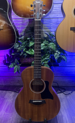 Store Special Product - Taylor Guitars - GS MINI M